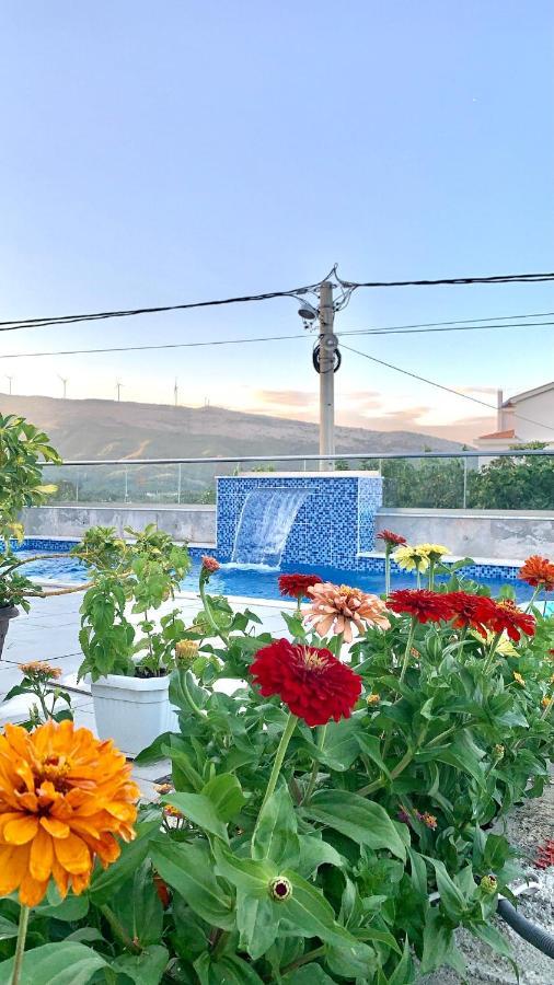 אולסינץ' Apartments Hillside מראה חיצוני תמונה